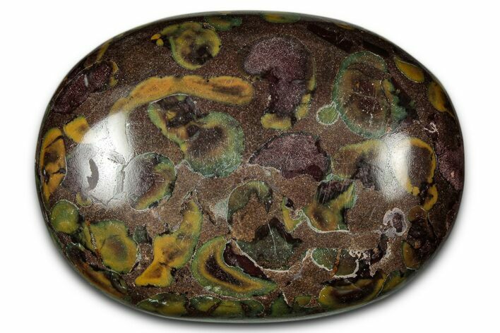 Polished Fruit Jasper Palm Stone - India #342248